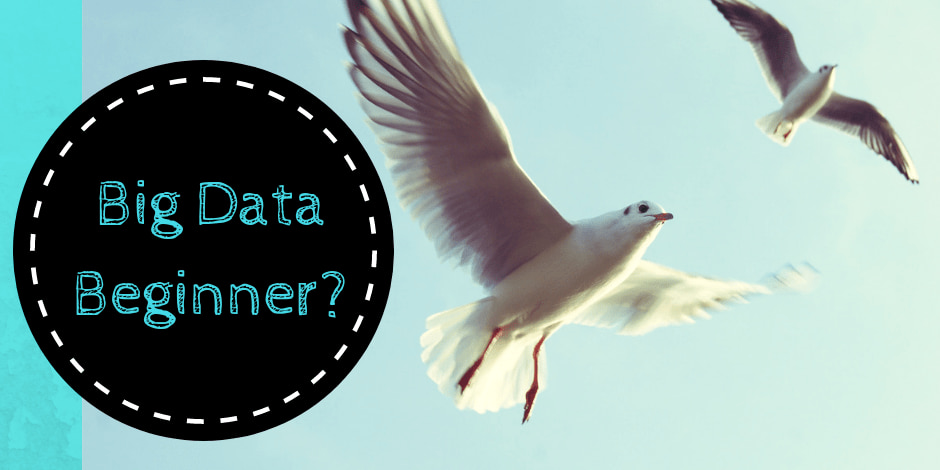 Best Way to get a Big Data Job as a Beginner or Graduate
