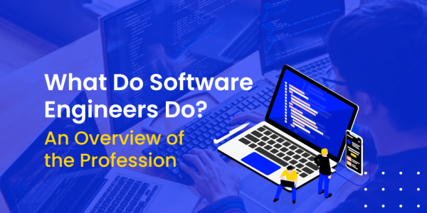 What do software engineers do? An overview of the profession ...