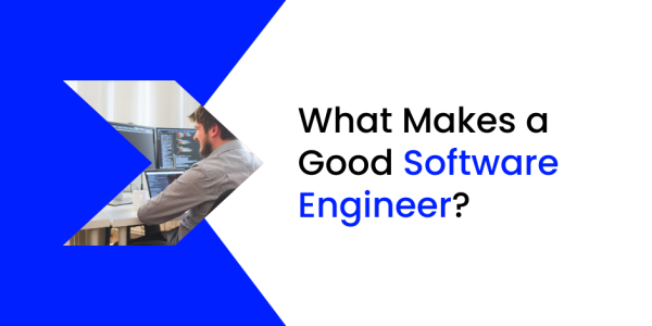 WHAT MAKES A GOOD SOFTWARE ENGINEER visual data 5